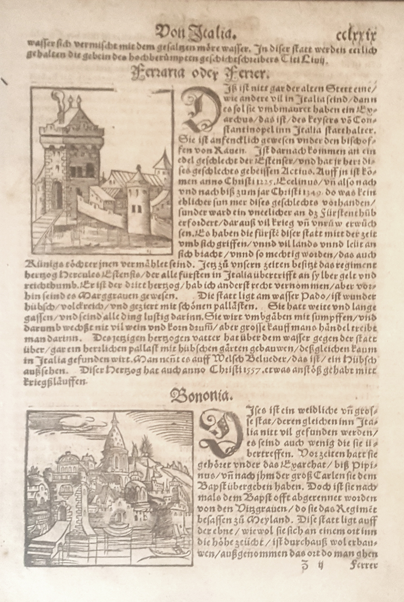 Münster 1560